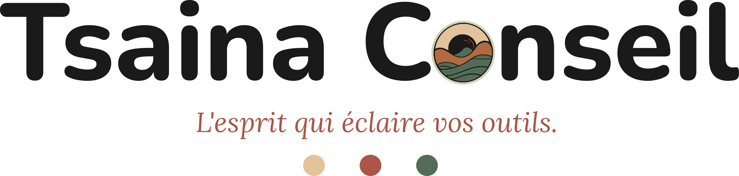 Tsaina Conseil